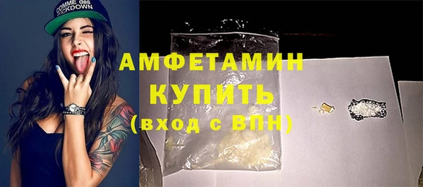 трава Гусиноозёрск