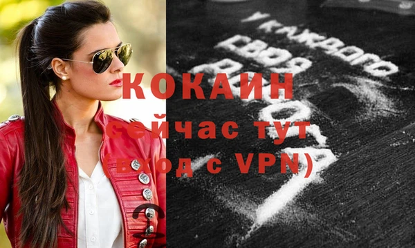 трава Гусиноозёрск