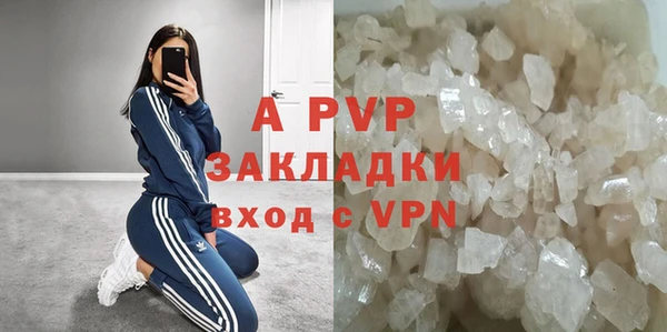 трава Гусиноозёрск